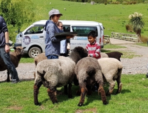 Happy Boy with Sheep